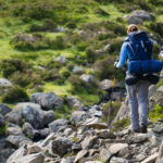 Borse di ricerca con il National Geographic
