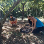 Coordinatore/coordinatrice per un campo di volontariato
