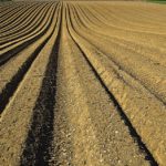 Concorso video della FAO sull’erosione del suolo