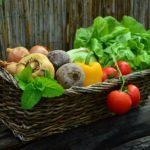 Corso post diploma ITS a Udine ambito agroalimentare