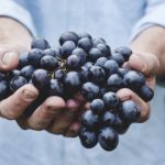 Vendemmia in Francia – opportunità di lavoro stagionale