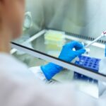 Tirocini presso l’Agenzia europea per le sostanze chimiche – (ECHA)