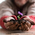 PERMACULTURE how to walk lighter on the Earth: corso di formazione in Francia