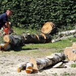 Cantieri di lavoro per disoccupati nei Comuni del Friuli Venezia Giulia