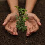 Tirocini presso l’Ufficio Comunitario delle Varietà Vegetali (CPVO)