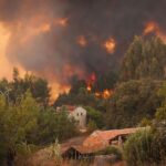 Il 2025 è stata la stagione degli incendi boschivi più devastante mai registrata nell’Unione Europea