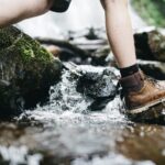 Scambio culturale in Polonia a tema natura e stili di vita sostenibili 11-18 luglio 2026